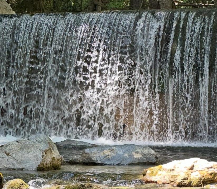 Photo of Others in Francavilla sul Sinni