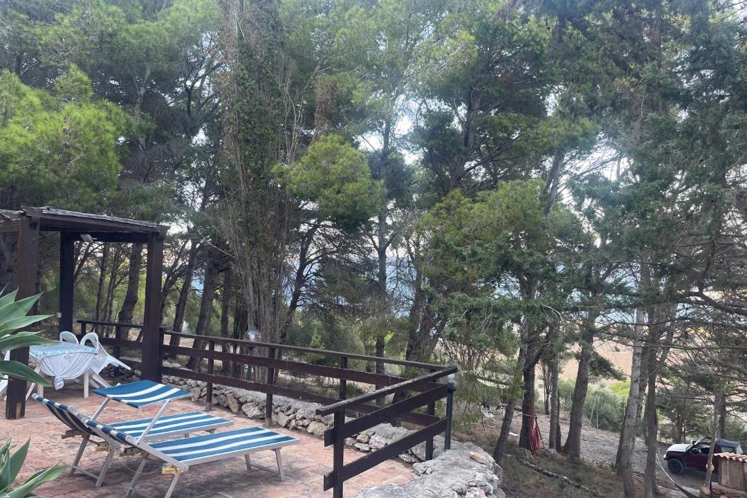 Photo of Others in Favignana