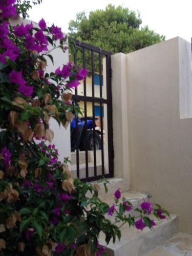 Photo of Others in Lampedusa