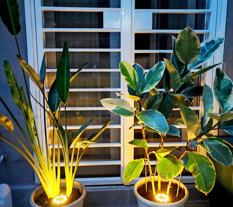Photo of Patio Balcony in Picanello-Ognina-Barriera-Canalicchio
