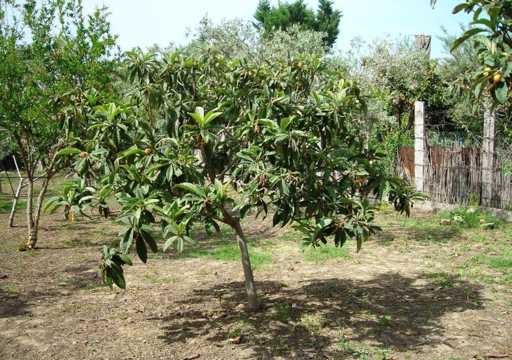Photo of Outdoor in Acquedolci
