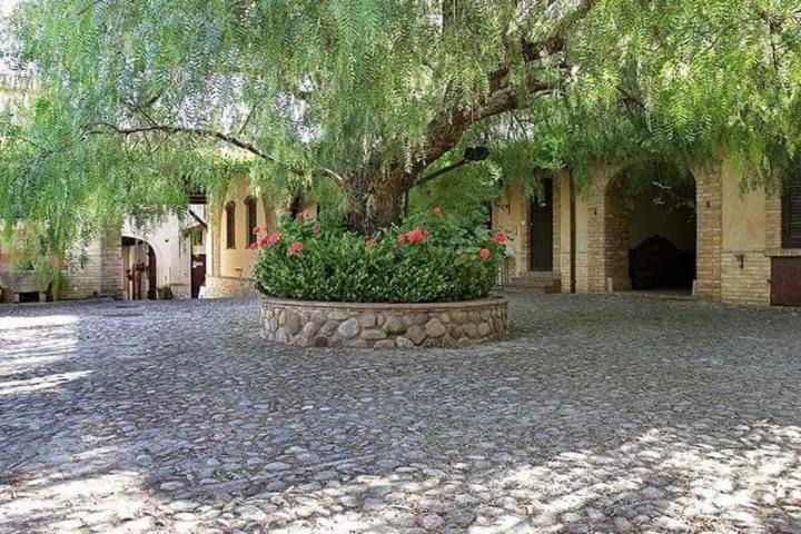Photo of Others in Sclafani Bagni