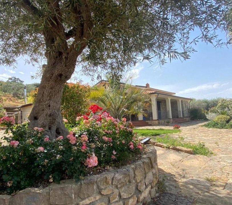 Photo of Others in Caltanissetta