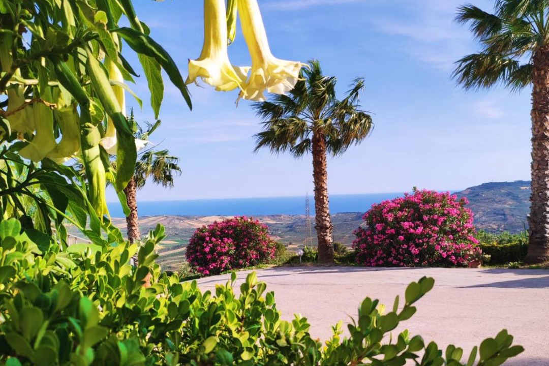 Photo of Others in Sciacca