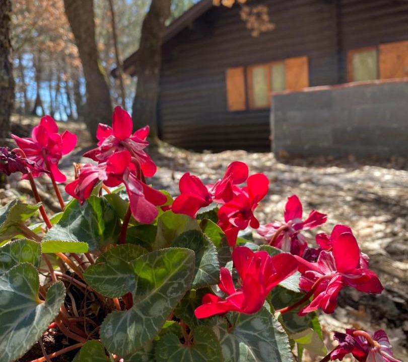 Photo of Outdoor in Ragalna