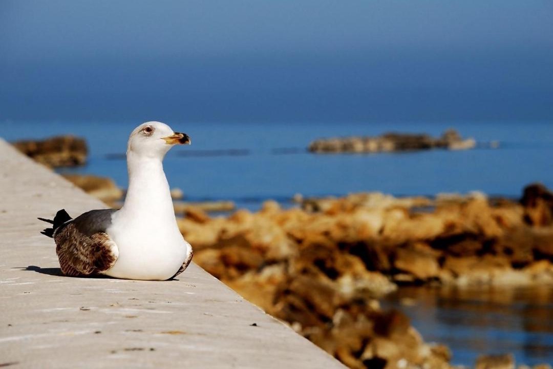 Photo of Others in Sant'Andrea Bonagia