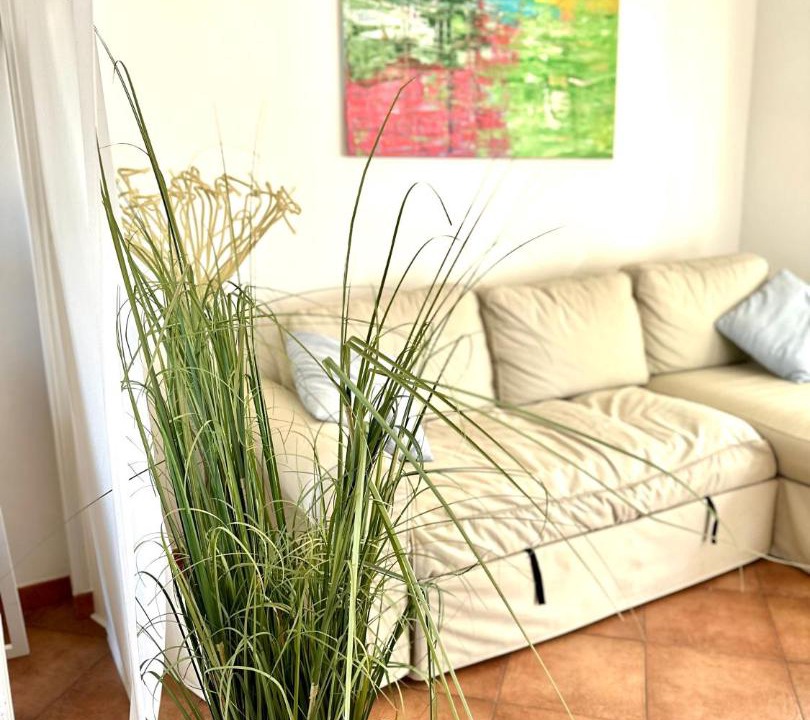 Photo of Livingroom in Punta Braccetto
