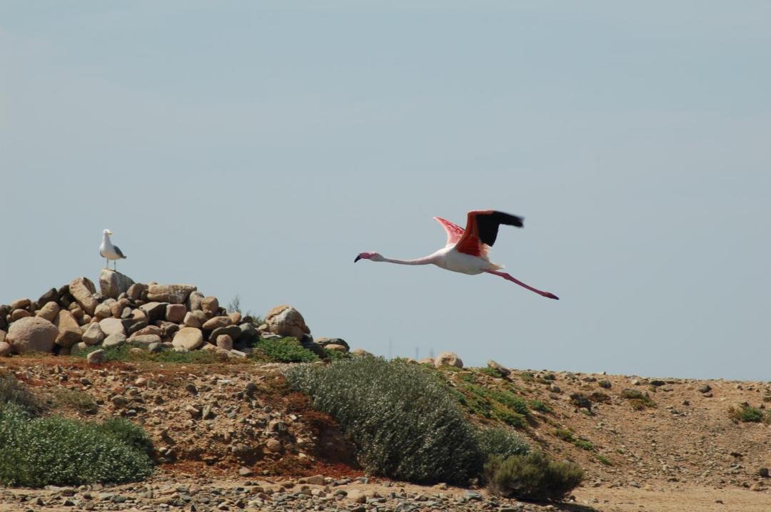 Photo of Others in Portopalo di Capo Passero
