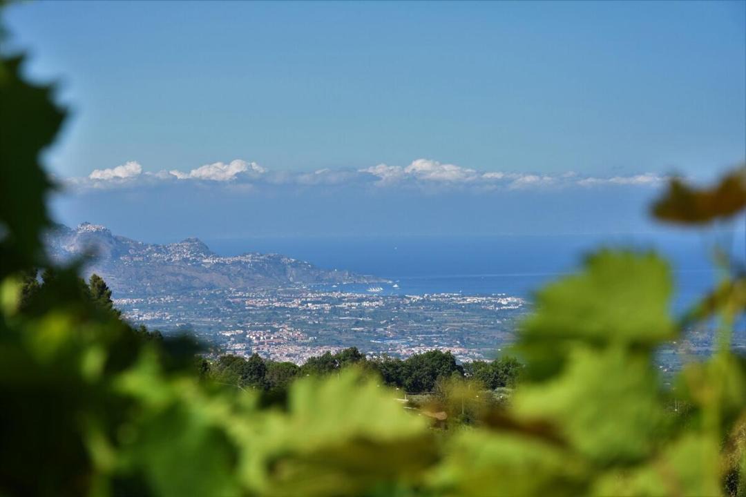 Photo of Others in Coste