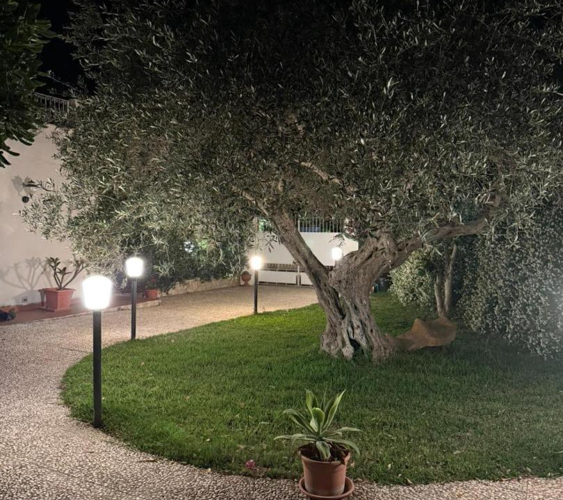 Photo of Others in Citta del Mare