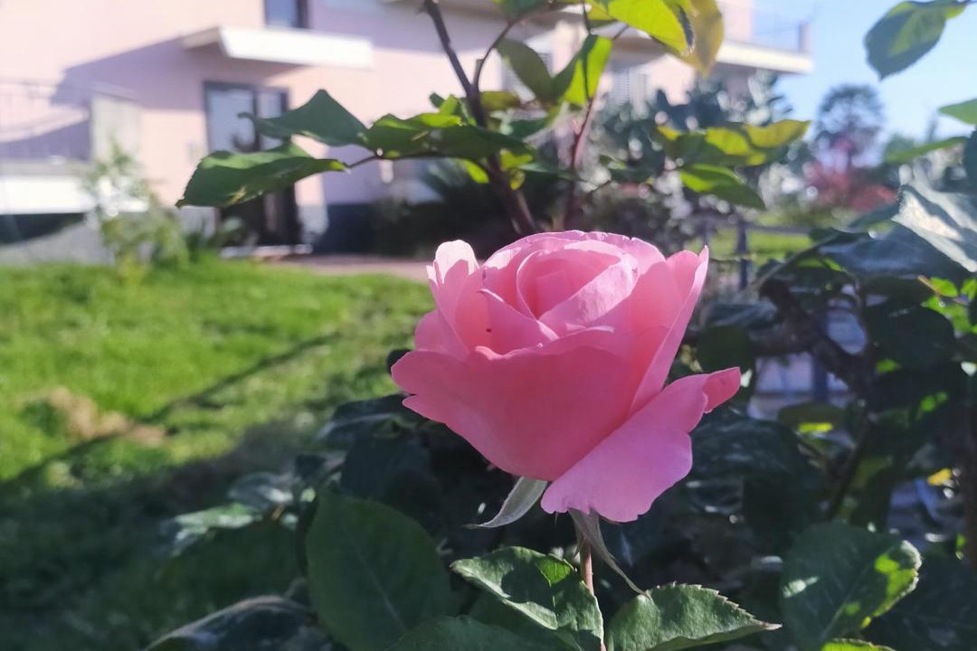 Photo of Outdoor in Mascali