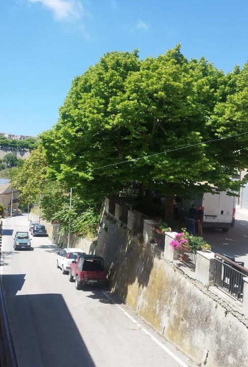 Photo of Others in Caltabellotta