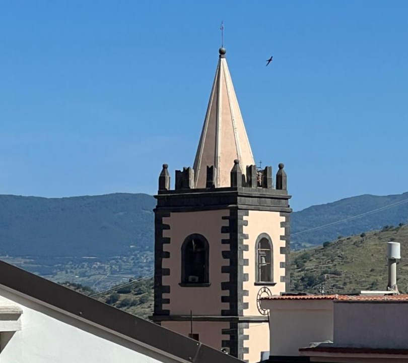 Photo of Buildings in Bronte