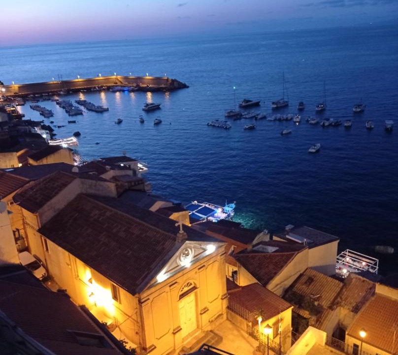 Photo of Others in Scilla
