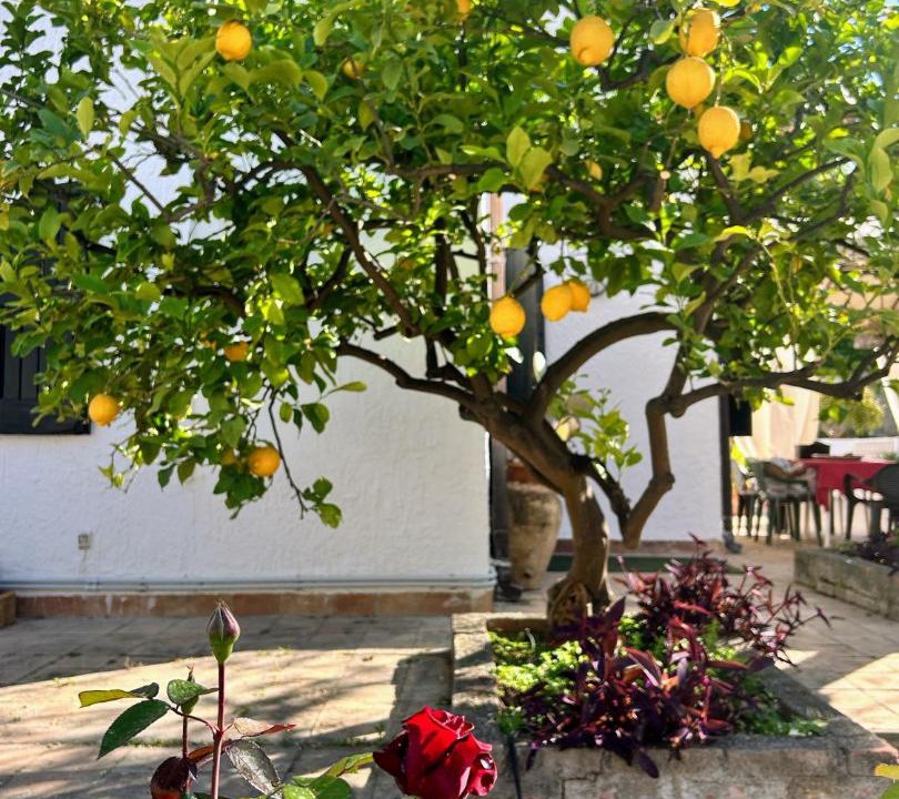Photo of Others in Recanati