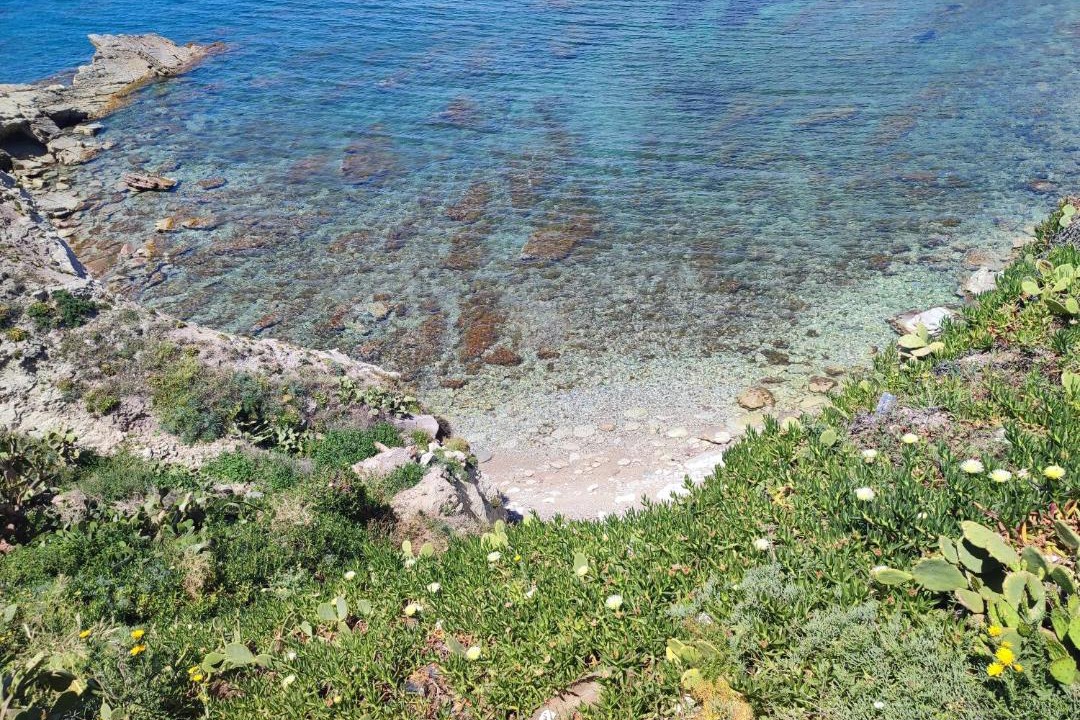 Photo of Others in Terrasini