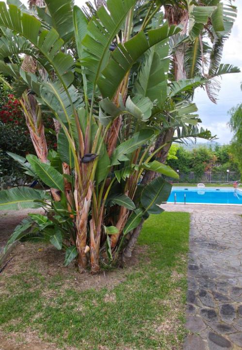 Photo of Outdoor in Gorgo Lungo