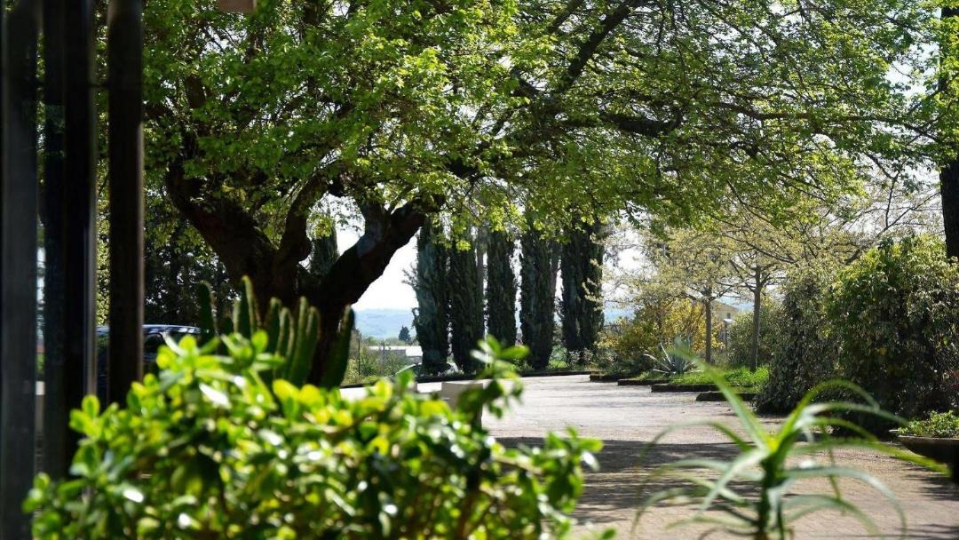 Photo of Others in Maiolati Spontini