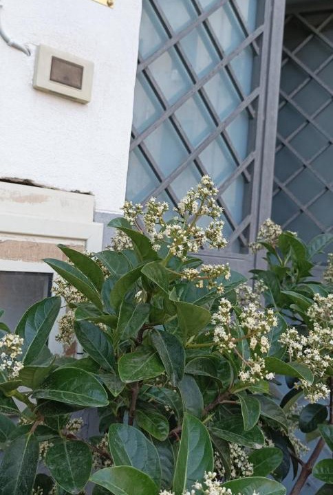Photo of Others in Centro Storico