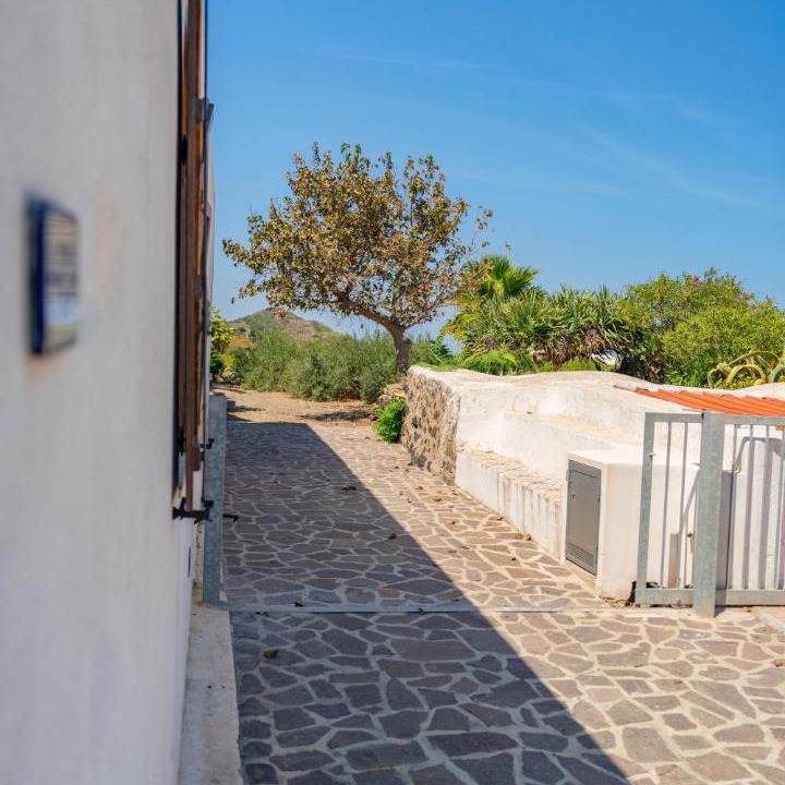 Photo of Others in Pantelleria