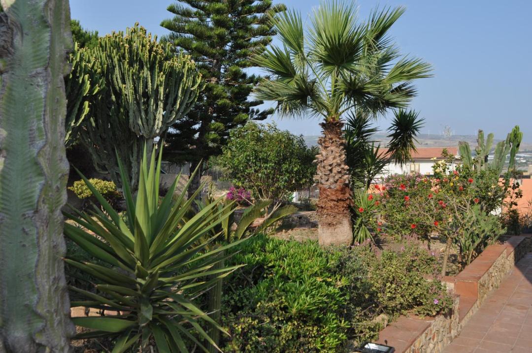 Photo of Others in Agrigento