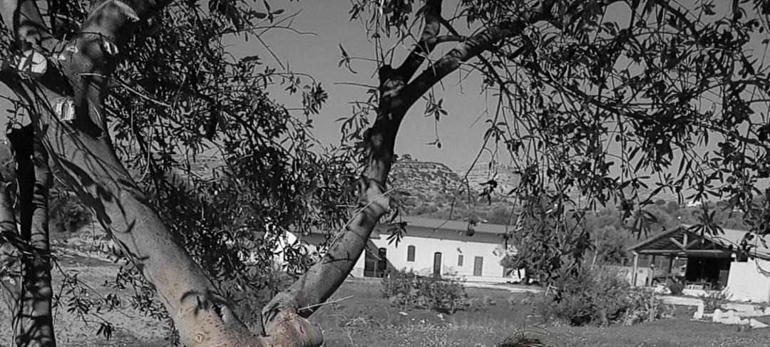 Photo of Others in Avola
