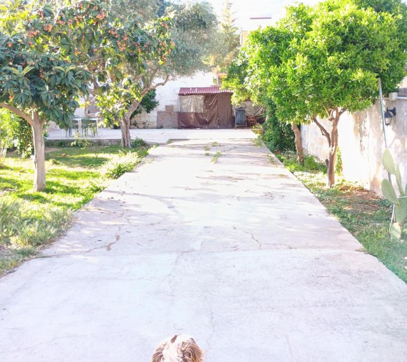 Photo of Outdoor in Mondello