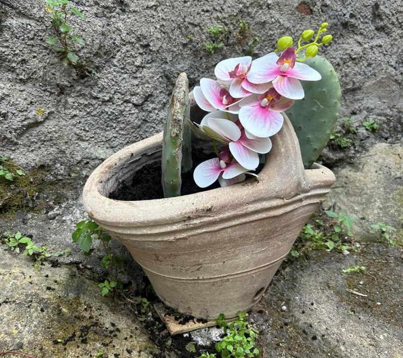 Photo of Outdoor in Rovittello