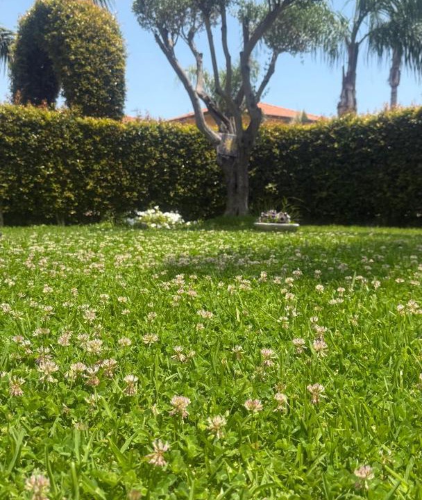 Photo of Outdoor in Sant'Anna
