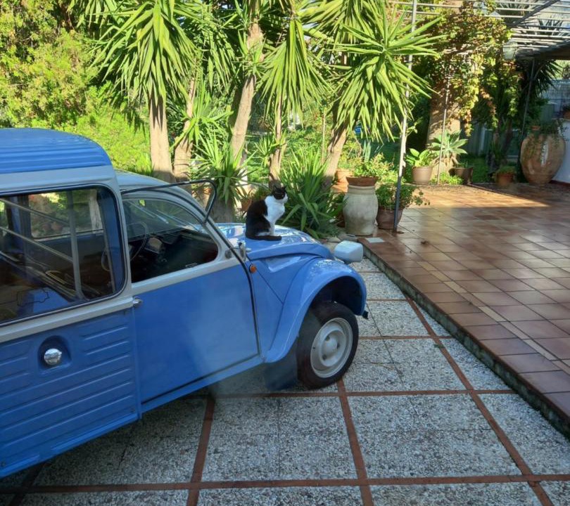 Photo of Others in Villa Grazia di Carini