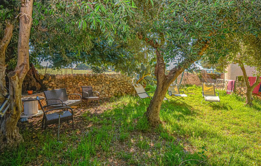 Photo of Others in Donnafugata