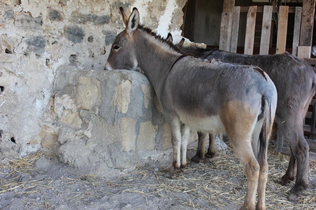 Photo of Others in Porto Empedocle