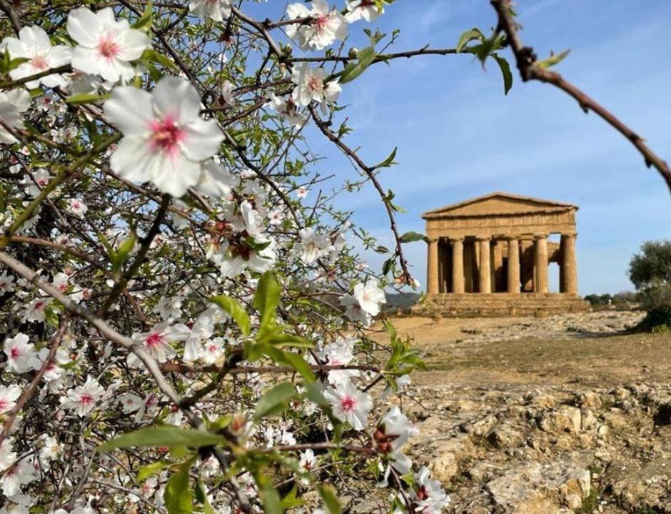 Photo of Others in Agrigento