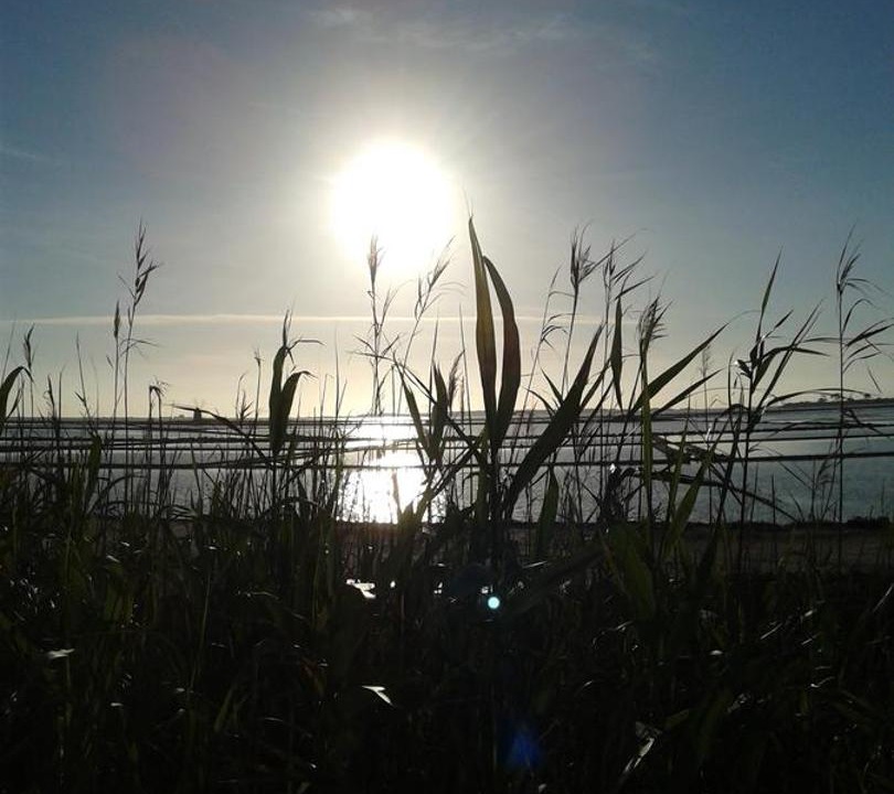 Photo of Outdoor in Marsala