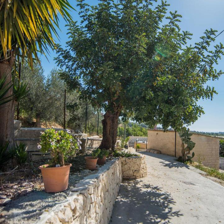 Photo of Others in Noto