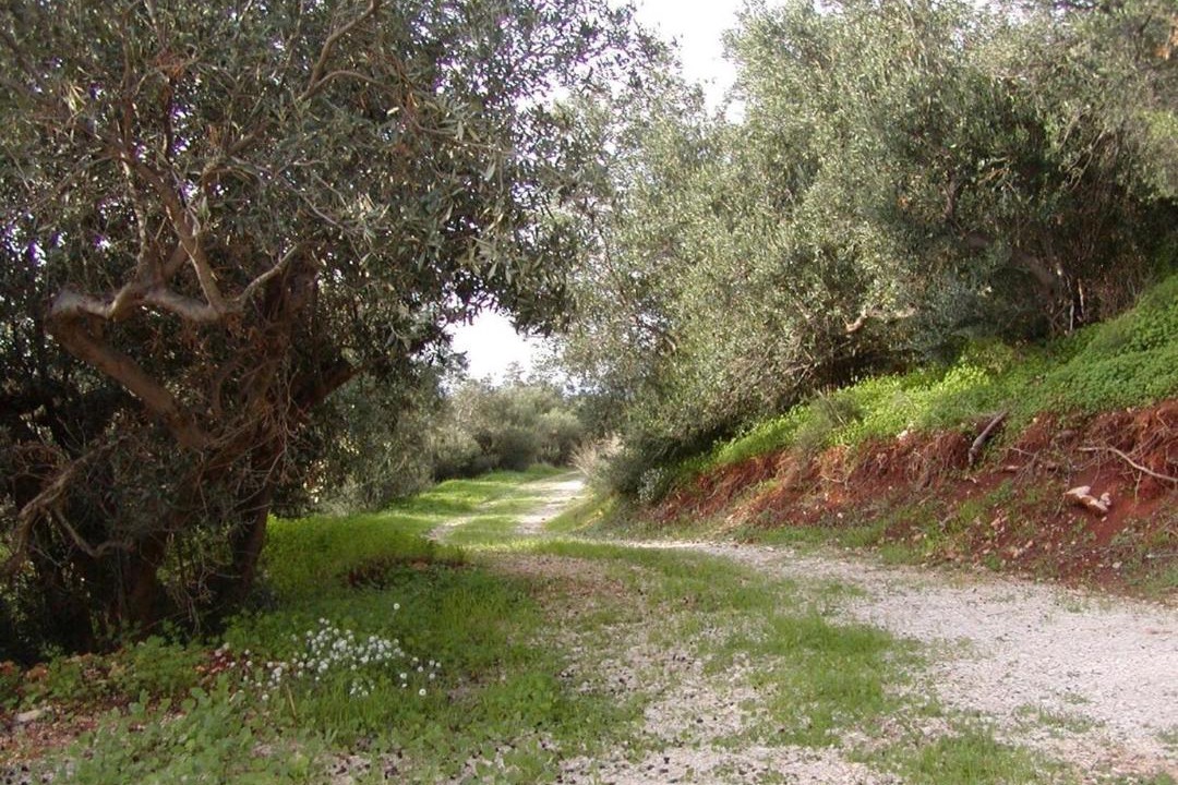 Photo of Outdoor in Castelluzzo