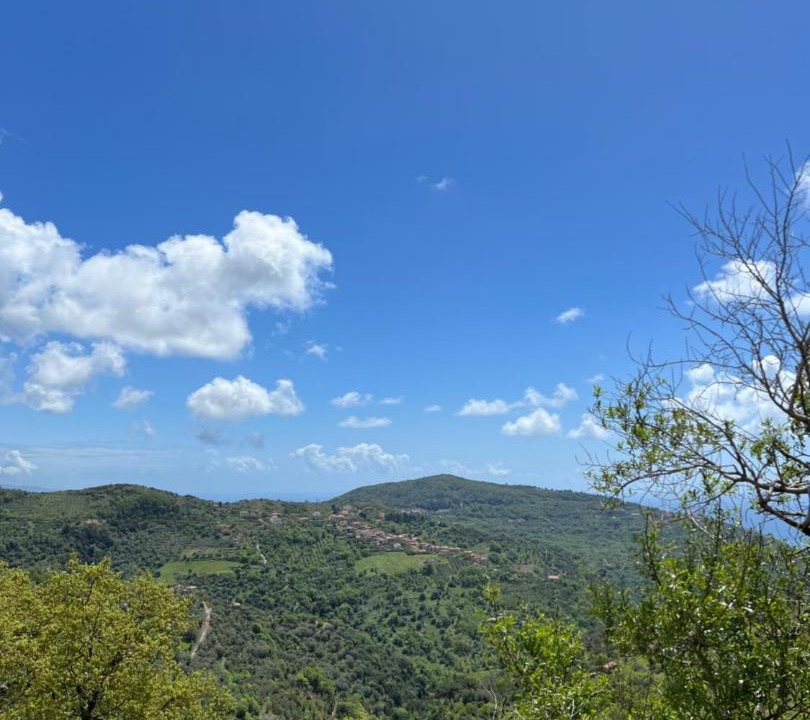 Photo of Others in San Mauro Cilento
