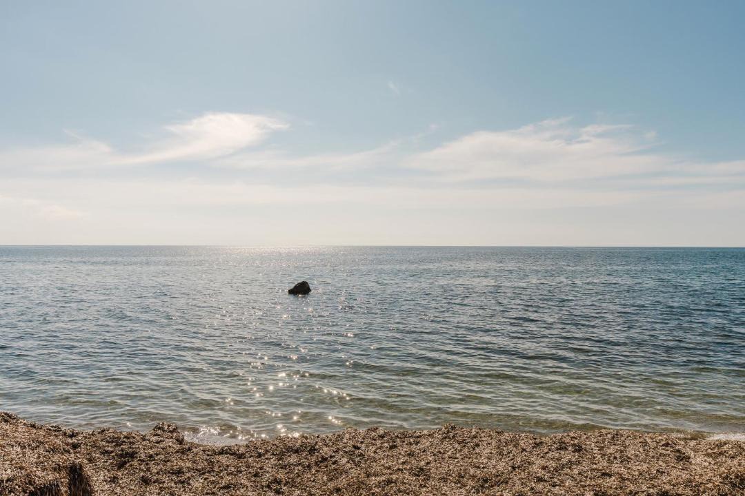 Photo of Others in Marsala