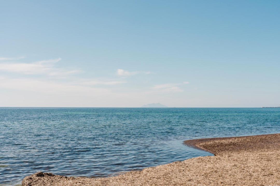 Photo of Others in Marsala