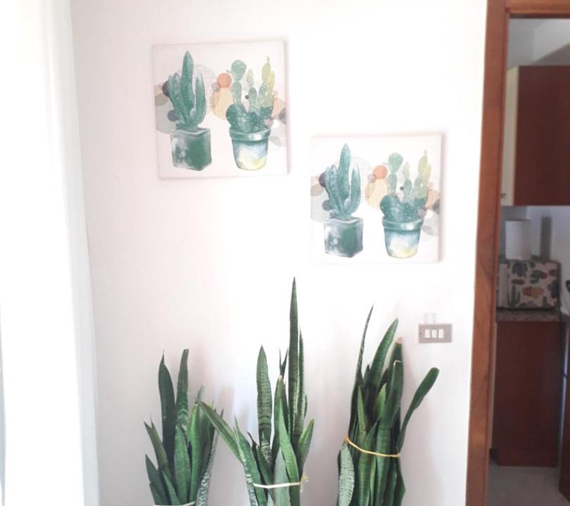 Photo of Others in Casa Santa