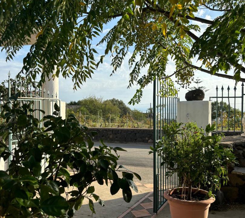 Photo of Others in Filicudi Porto