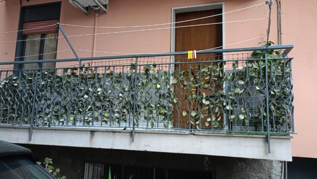 Photo of Others in Monte Po-Nesima-San Leone-Rapisardi