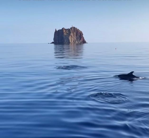 Photo of Others in Stromboli