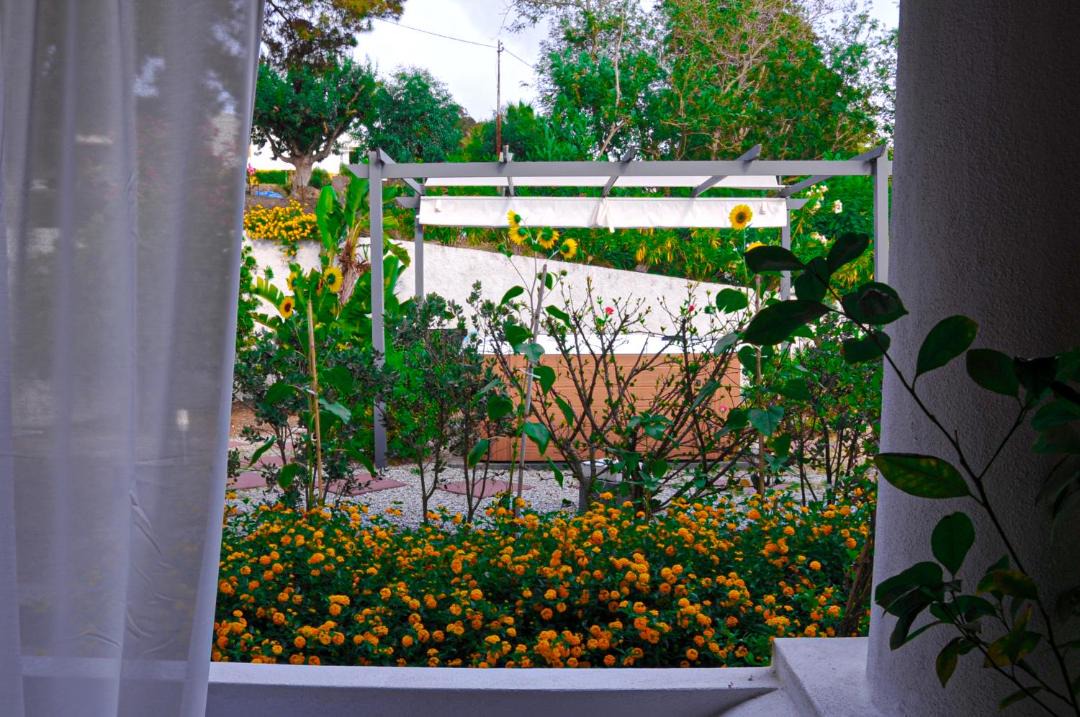 Photo of Patio Balcony in Vulcano Piano