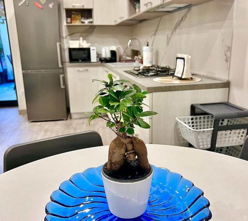 Photo of Kitchen in Nicolosi