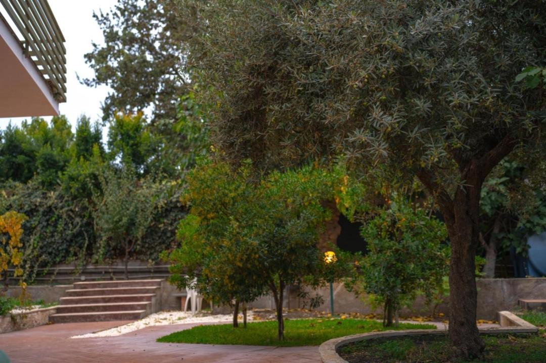 Photo of Others in Mascalucia