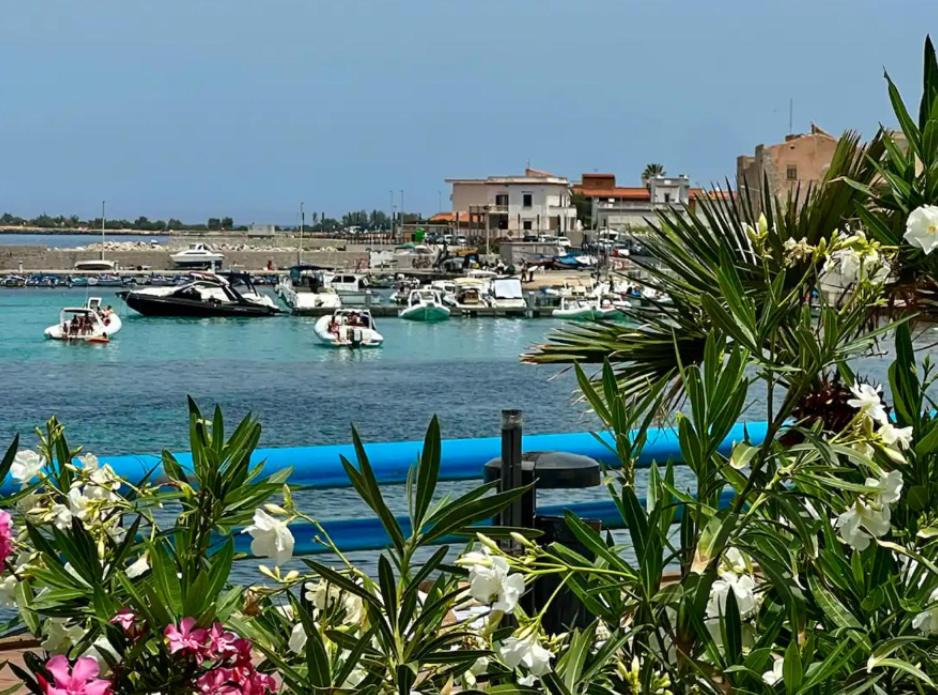 Photo of Others in Sferracavallo