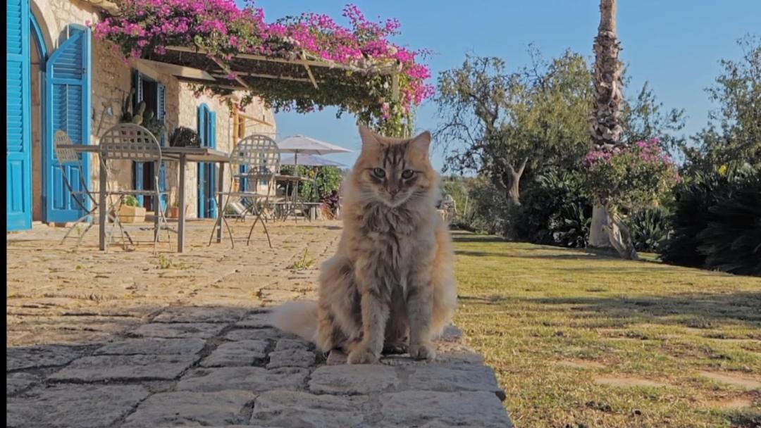Photo of Others in Modica