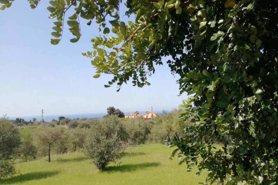 Photo of Others in Campofelice di Roccella