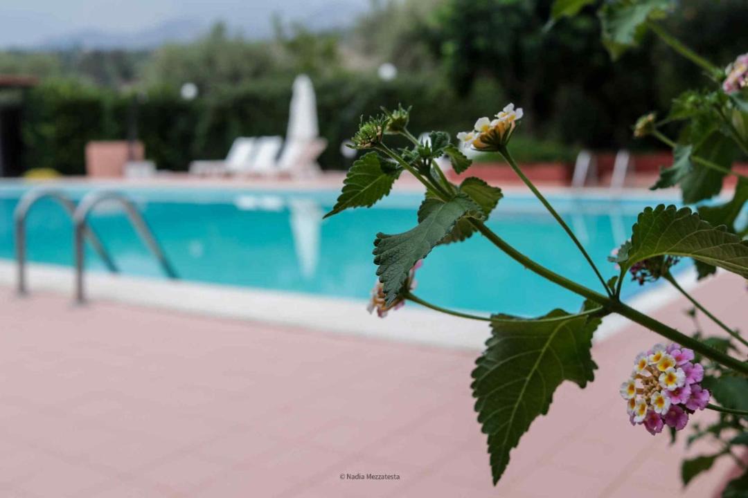 Photo of Others in Campofelice di Roccella